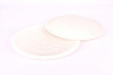 Corn Starch Plate